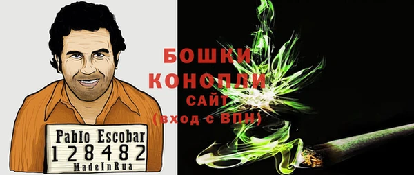 шишки Алексин