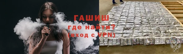 крисы Алзамай