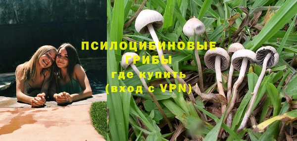 крисы Алзамай