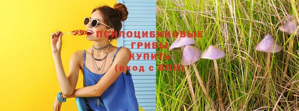 шишки Алексин