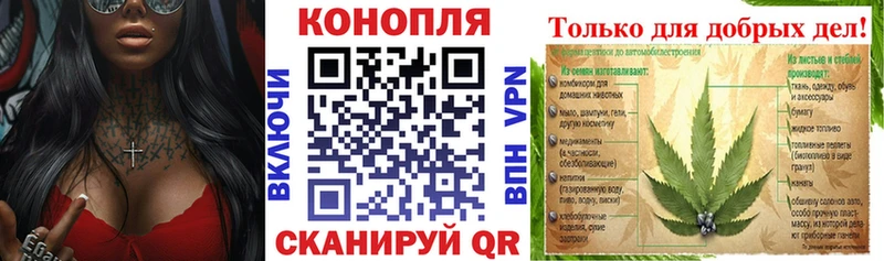 цены   Лебедянь  Шишки марихуана семена 